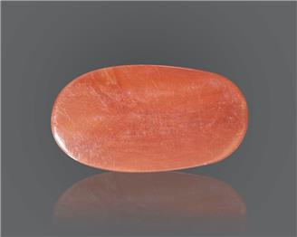 Natural Coral  16.64RTS-18607